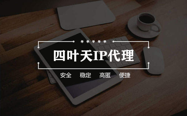 【新沂代理IP】如何快速搭建代理IP？怎么检查代理的效果？